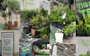 Plant Team